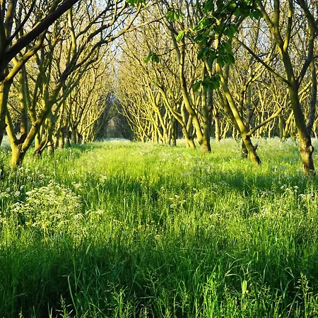 Le Chemin 4* Challignac