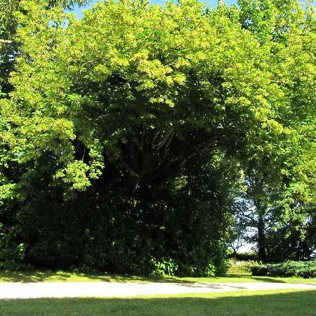 Le Chemin 4* Challignac