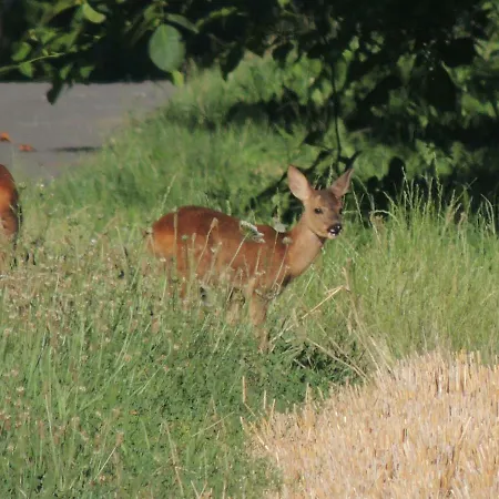 Le Chemin Bed & Breakfast 4*