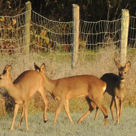 Le Chemin Bed & Breakfast 4*