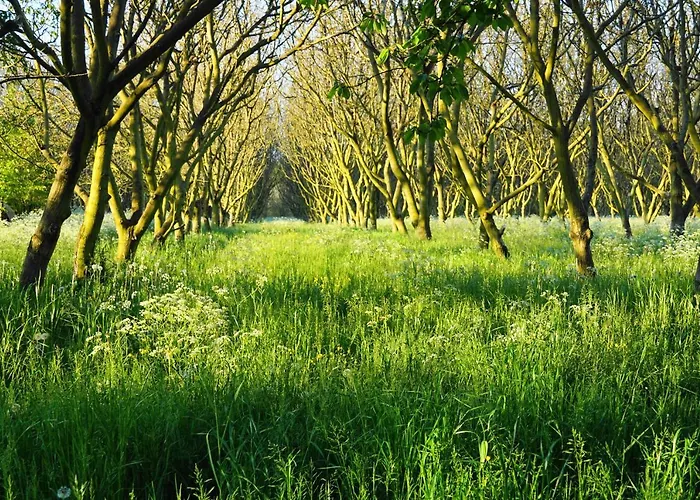 Le Chemin 4* Challignac