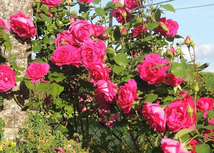 Bed & Breakfast Le Chemin Challignac