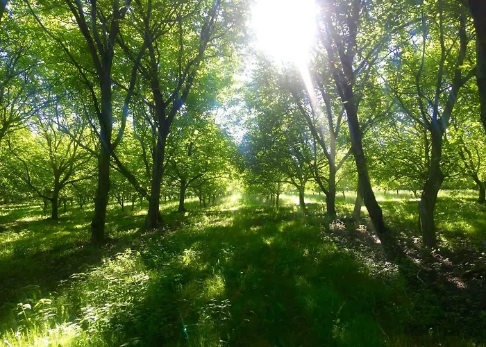 B&B Le Chemin Challignac