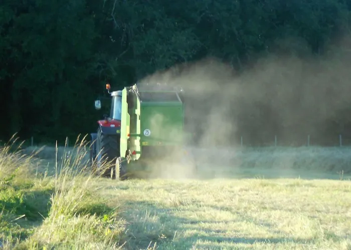 Bed & Breakfast Le Chemin 4*