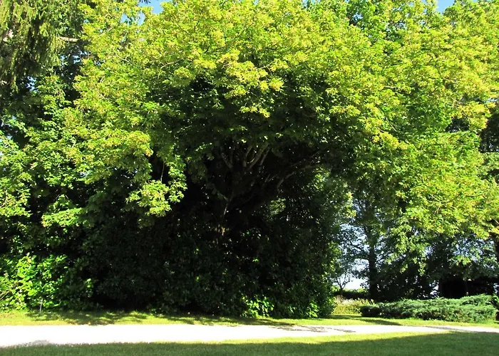 Le Chemin 4* Challignac