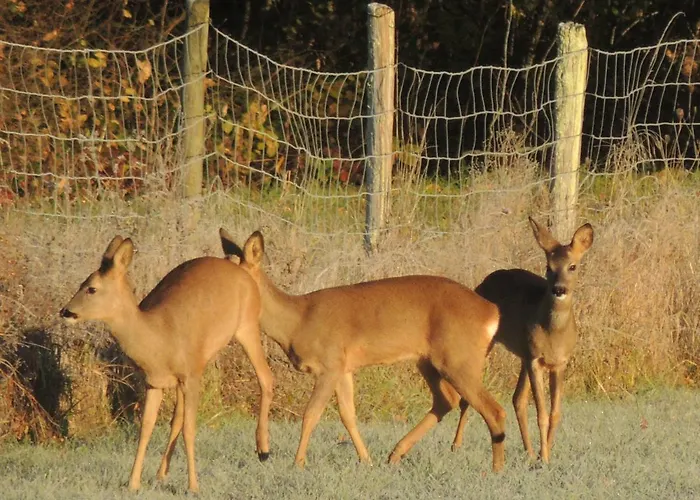 Le Chemin Bed & Breakfast 4*